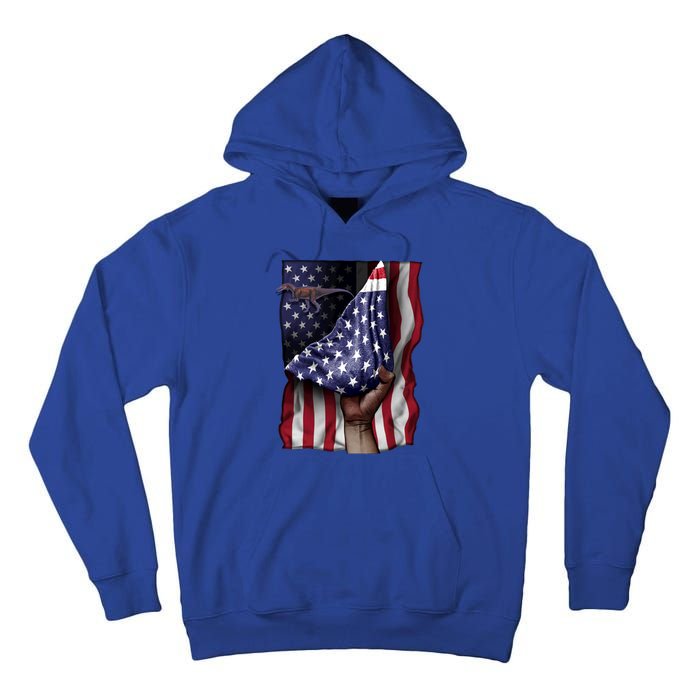 Day Of Independence Us Flag Baryonyx Meaningful Gift Tall Hoodie