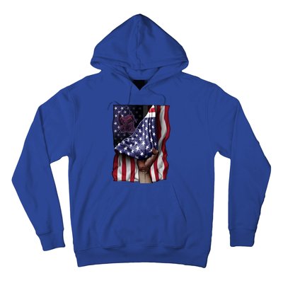 Day Of Independence Us Flag Gargoyle Gift Hoodie