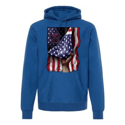 Day Of Independence Us Flag Gargoyle Gift Premium Hoodie