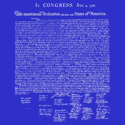 Declaration Of Independence Funny Gift T-Shirt