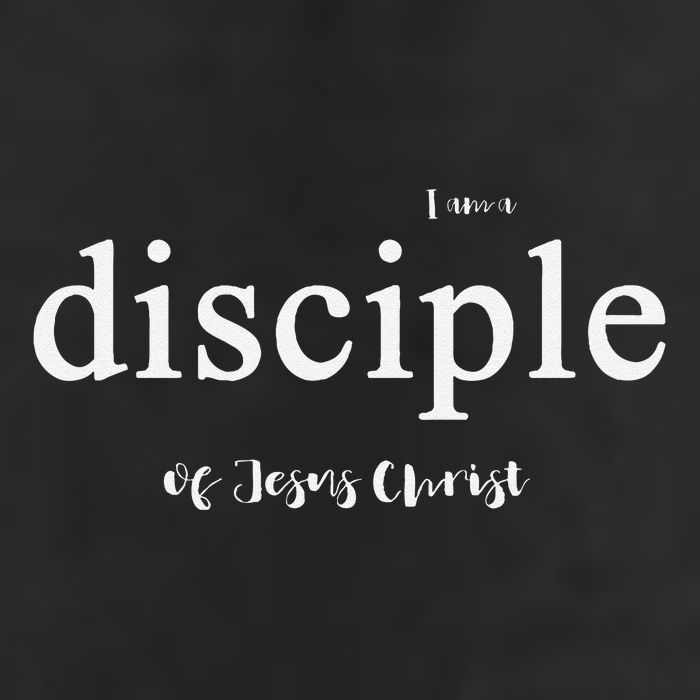 Disciple Of Jesus Christ Gospel Theme 7 Panel Mesh Trucker Snapback Hat