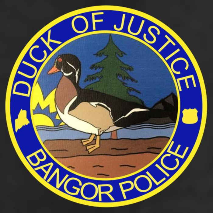 Duck Of Justice Bangor Police 11oz C Handle Ceramic Mug