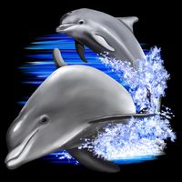 Dolphins Jumping Drawstring Bag