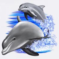 Dolphins Jumping USA-Made Doggie Bandana
