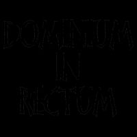 Dominium In Rectum Mug