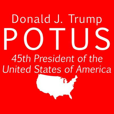Donald J. Trump POTUS 45th President of The USA T-Shirt
