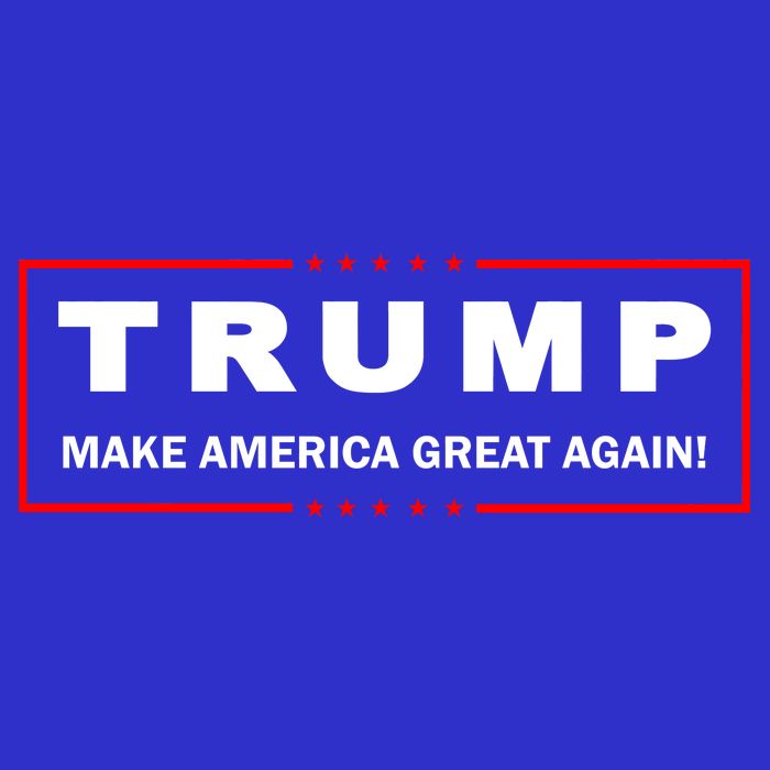 Donald Trump Election Make America Great Again 16 in Basic Backpack