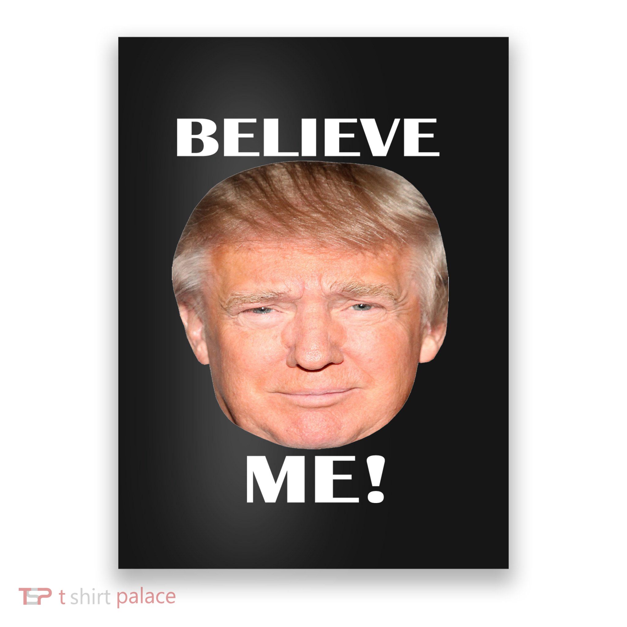 Donald Trump Believe Me Poster