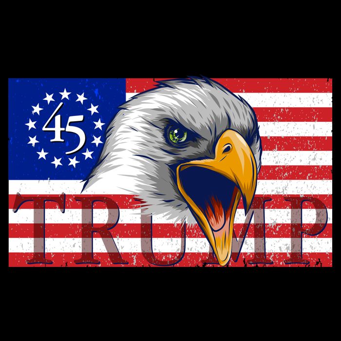 Donald Trump Eagle Betsy Ross Flag City Backpack