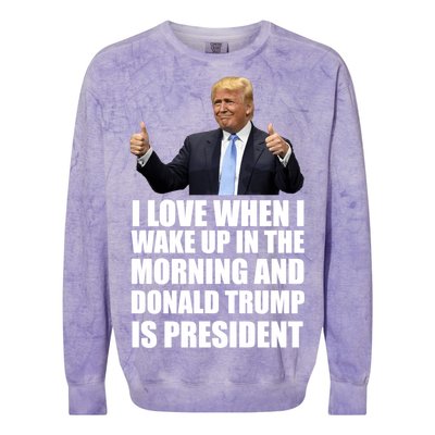 Donald Trump Is My President Colorblast Crewneck Sweatshirt