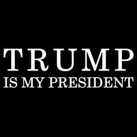 Donald Trump Is My President 45th POTUS Wool Snapback Cap