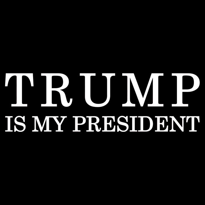 Donald Trump Is My President 45th POTUS Wool Snapback Cap