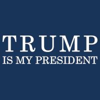 Donald Trump Is My President 45th POTUS Poster
