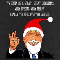 Donald Trump It's Gonna Be A Great Christmas Hat