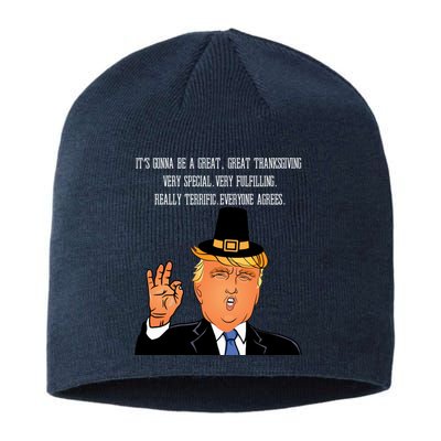 Donald Trump It's Gonna Be A Great Thanksgiving Sustainable Beanie