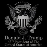 Donald Trump Presidential Seal USA 45th President Logo T-Shirt