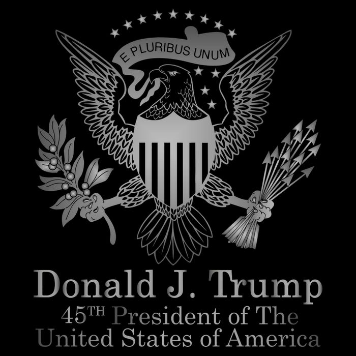 Donald Trump Presidential Seal USA 45th President Logo T-Shirt