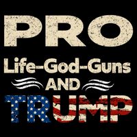 Donald Trump Pro Life God Gun Toddler T-Shirt