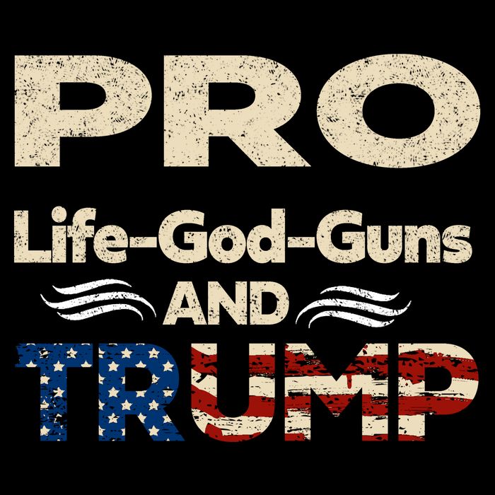 Donald Trump Pro Life God Gun Toddler T-Shirt