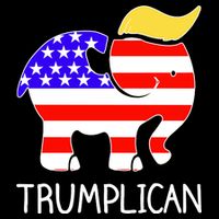 Donald Trump Trumplican 2020 Election Poster