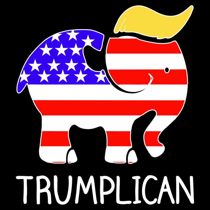 Donald Trump Trumplican 2020 Election Poster