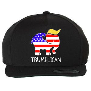 Donald Trump Trumplican 2020 Election Wool Snapback Cap