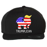 Donald Trump Trumplican 2020 Election Wool Snapback Cap