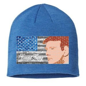 Donald Trump United States Flag Abstract President Sustainable Beanie