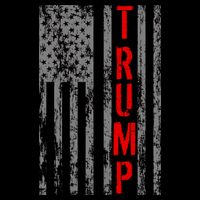 Donald Trump Vintage USA Flag Women's V-Neck T-Shirt