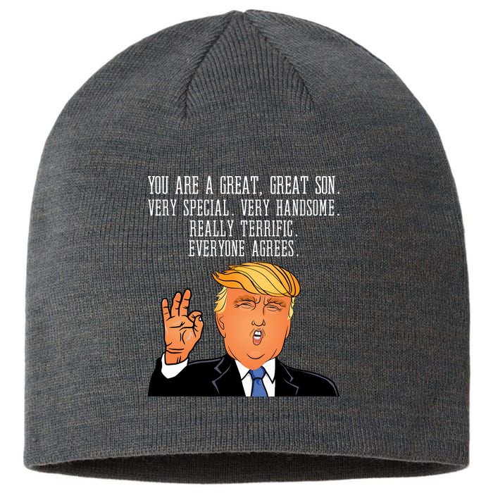 Donald Trump Your A Great Son Sustainable Beanie