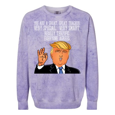 Donald Trump Your A Great Teacher Colorblast Crewneck Sweatshirt