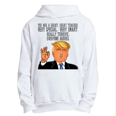 Donald Trump Your A Great Teacher Urban Pullover Hoodie