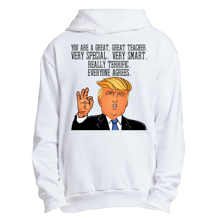 Donald Trump Your A Great Teacher Urban Pullover Hoodie