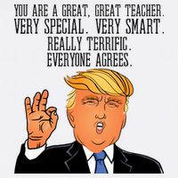 Donald Trump Your A Great Teacher Hat