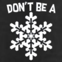 Don't Be A Snowflake 12oz Stainless Steel Coffee Mug