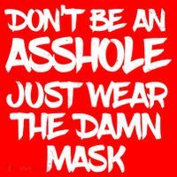 Don't Be An Asshole Just Wear The Damn Mask Pom Pom 12in Knit Beanie