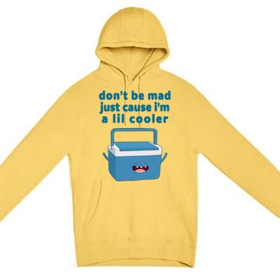 Don't Be Mad Just Cause I'm A Lil Cooler Funny Premium Pullover Hoodie