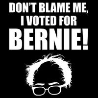 Don't Blame Me I Voted For Bernie Sanders City Backpack