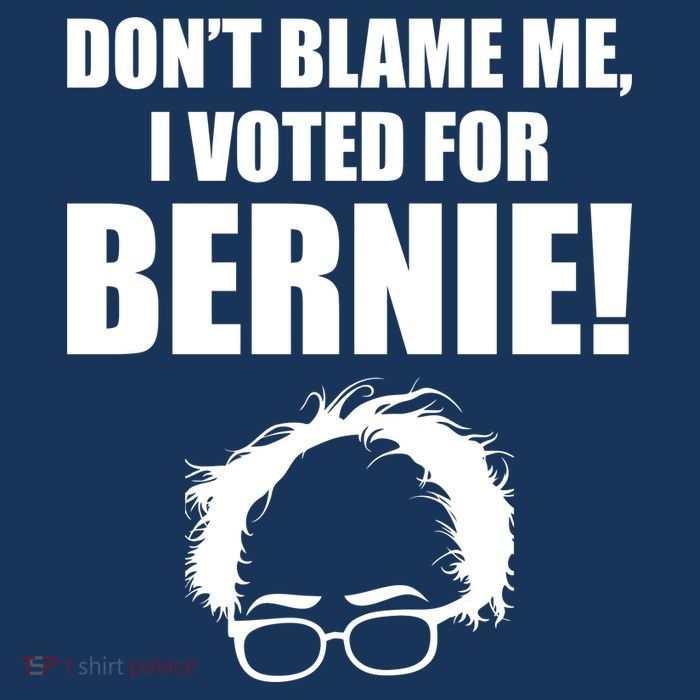 Don't Blame Me I Voted For Bernie Sanders Sustainable Knit Beanie