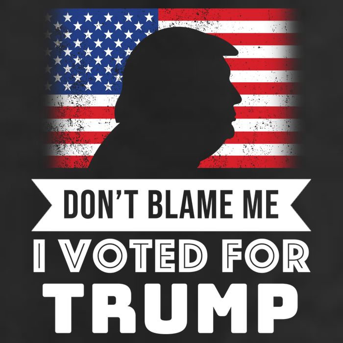 Don't Blame Me I Voted For Trump Garment-Dyed Fleece Hoodie