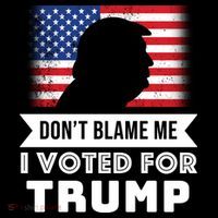 Don't Blame Me I Voted For Trump Kids T-Shirt