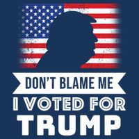 Don't Blame Me I Voted For Trump Infant Baby Jersey Bodysuit