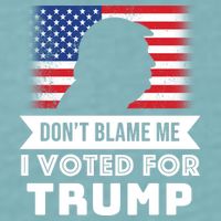 Don't Blame Me I Voted For Trump Sueded Cloud Jersey T-Shirt