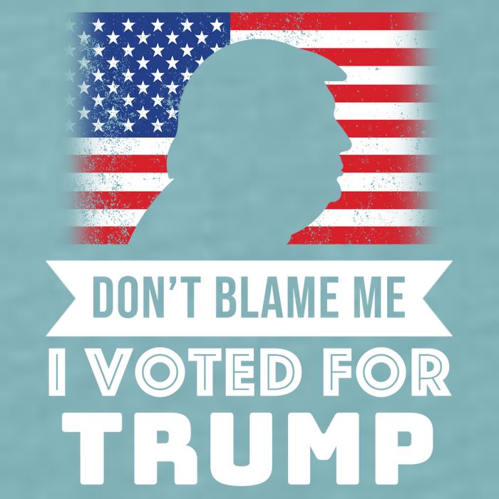 Don't Blame Me I Voted For Trump Sueded Cloud Jersey T-Shirt