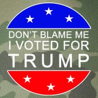 Don't Blame Me I Voted For Trump Pro Republican Legacy Tie Dye Trucker Hat