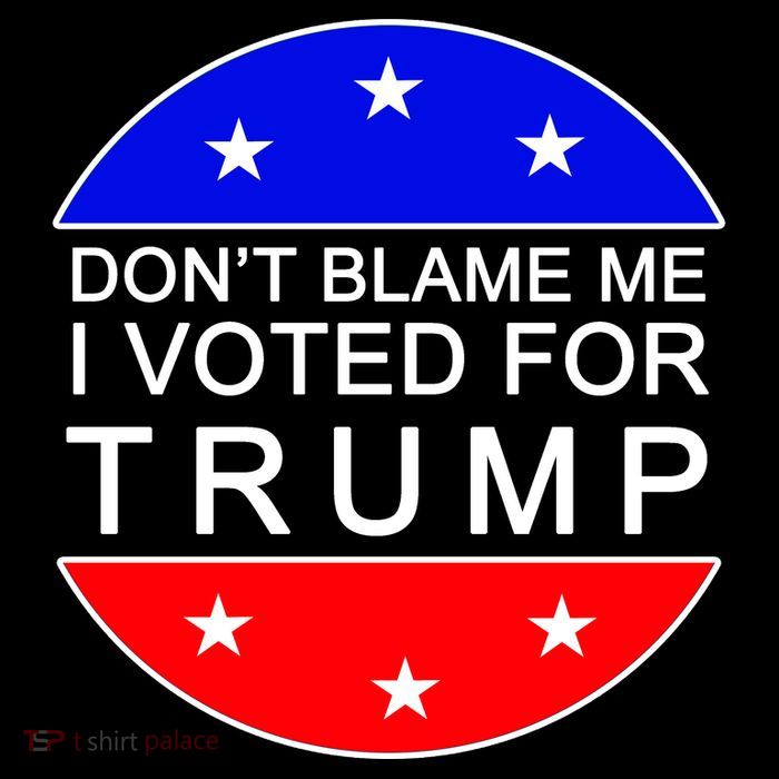 Don't Blame Me I Voted For Trump Pro Republican Stripe Pom Pom Beanie