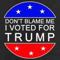 Don't Blame Me I Voted For Trump Pro Republican 15oz Campfire Ceramic Mug