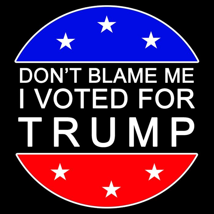 Don't Blame Me I Voted For Trump Pro Republican Cropped Pullover Crew