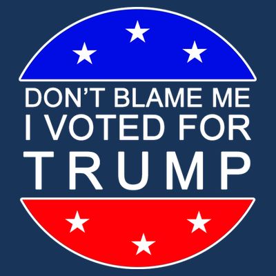 Don't Blame Me I Voted For Trump Pro Republican T-Shirt