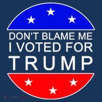 Don't Blame Me I Voted For Trump Pro Republican Tall T-Shirt